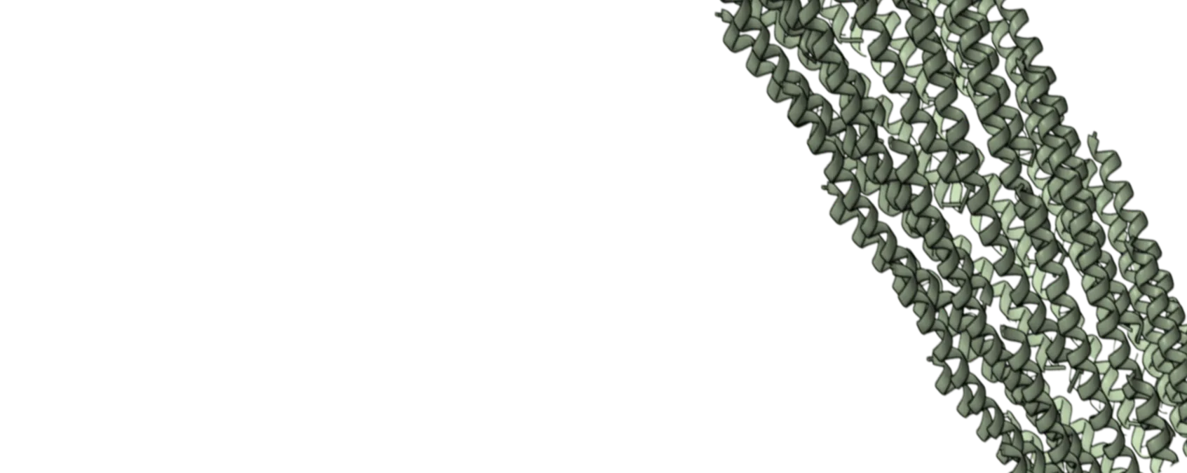 Phage display microscopy background