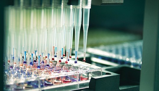 Cell Origins Laboratory