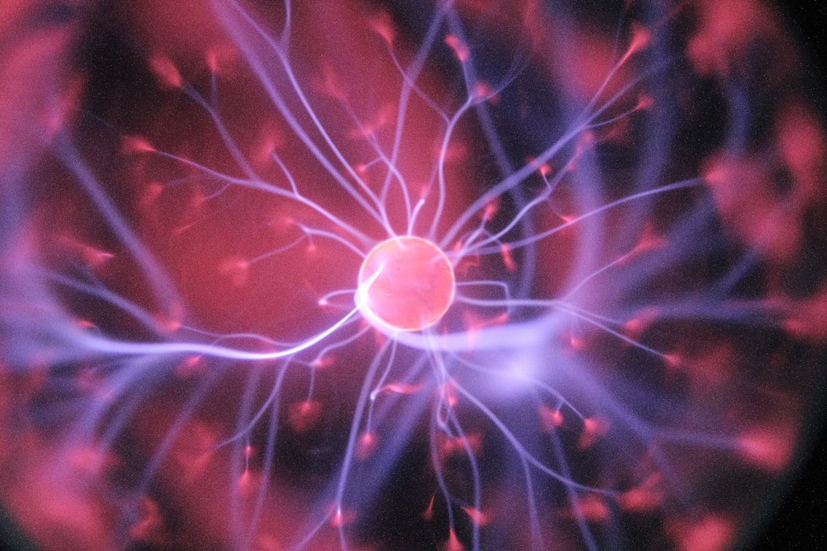 Phage Display